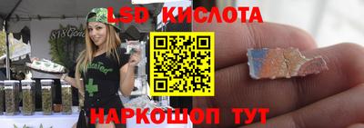 мяу мяу мука Владикавказ
