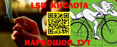 шишки Владимир