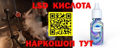шишки Владимир