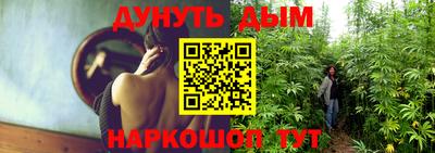 шишки Владимир