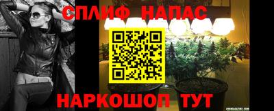 шишки Владимир