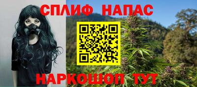 шишки Владимир