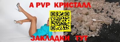 шишки Владимир
