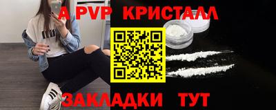 шишки Владимир