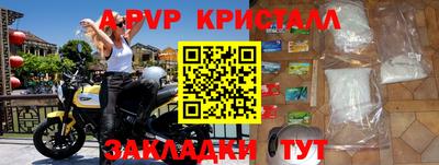 шишки Владимир
