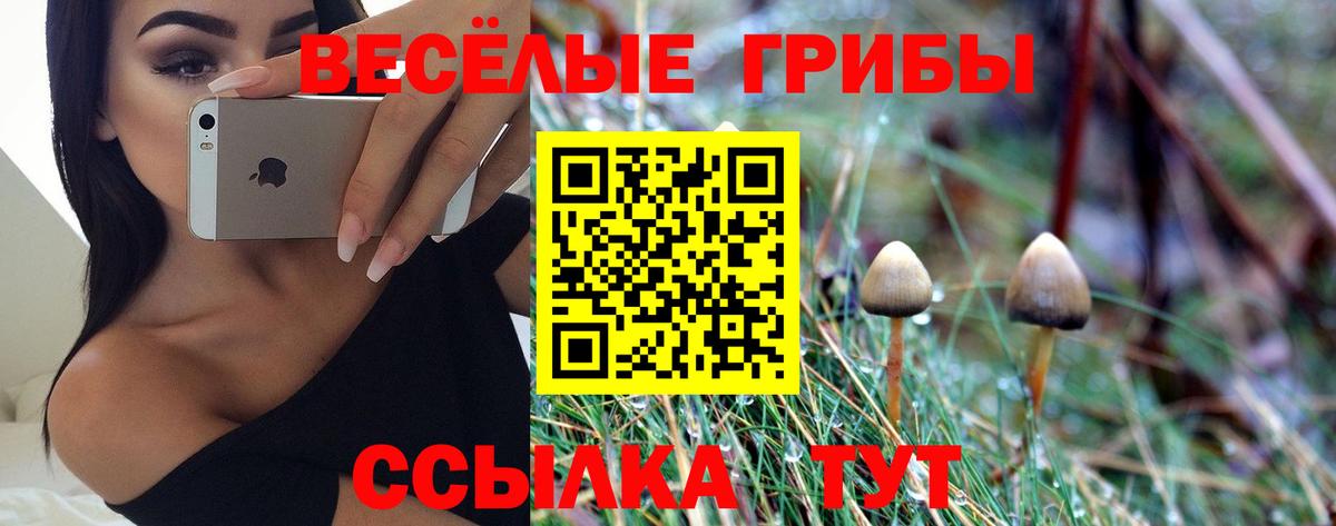Галлюциногенные грибы Magic Shrooms  Вход с VPN  где продают   Астрахань 