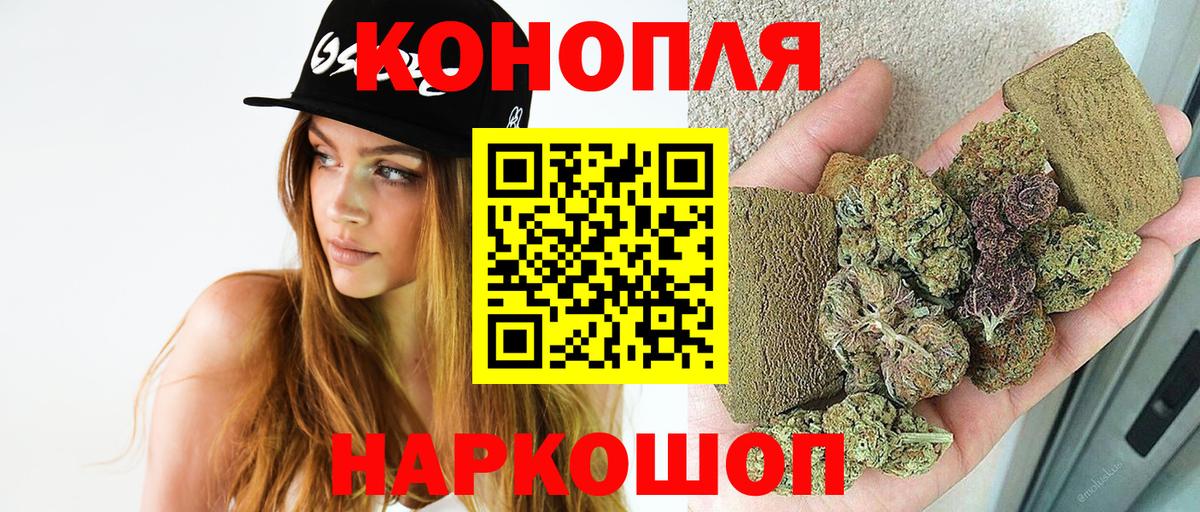 Конопля сатива Астрахань